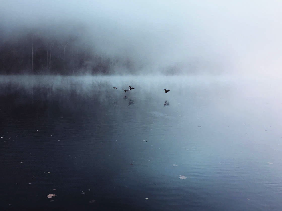 The Thirteenth Song album artwork